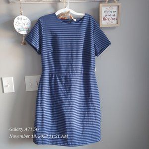 Knee length dress NWT